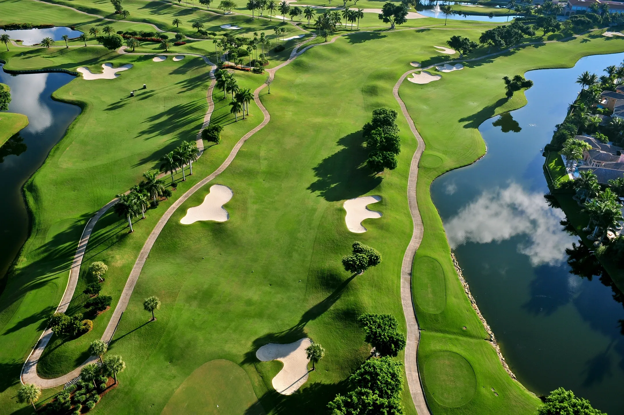 Are there specific training aids that can improve my driving distance?