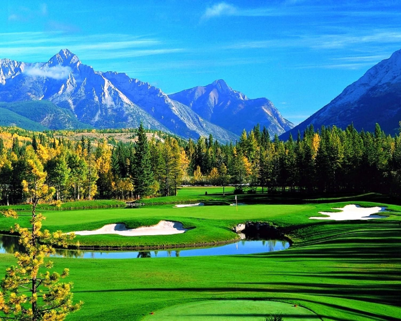 Is there equipment available to help with swing mechanics and improve consistency?