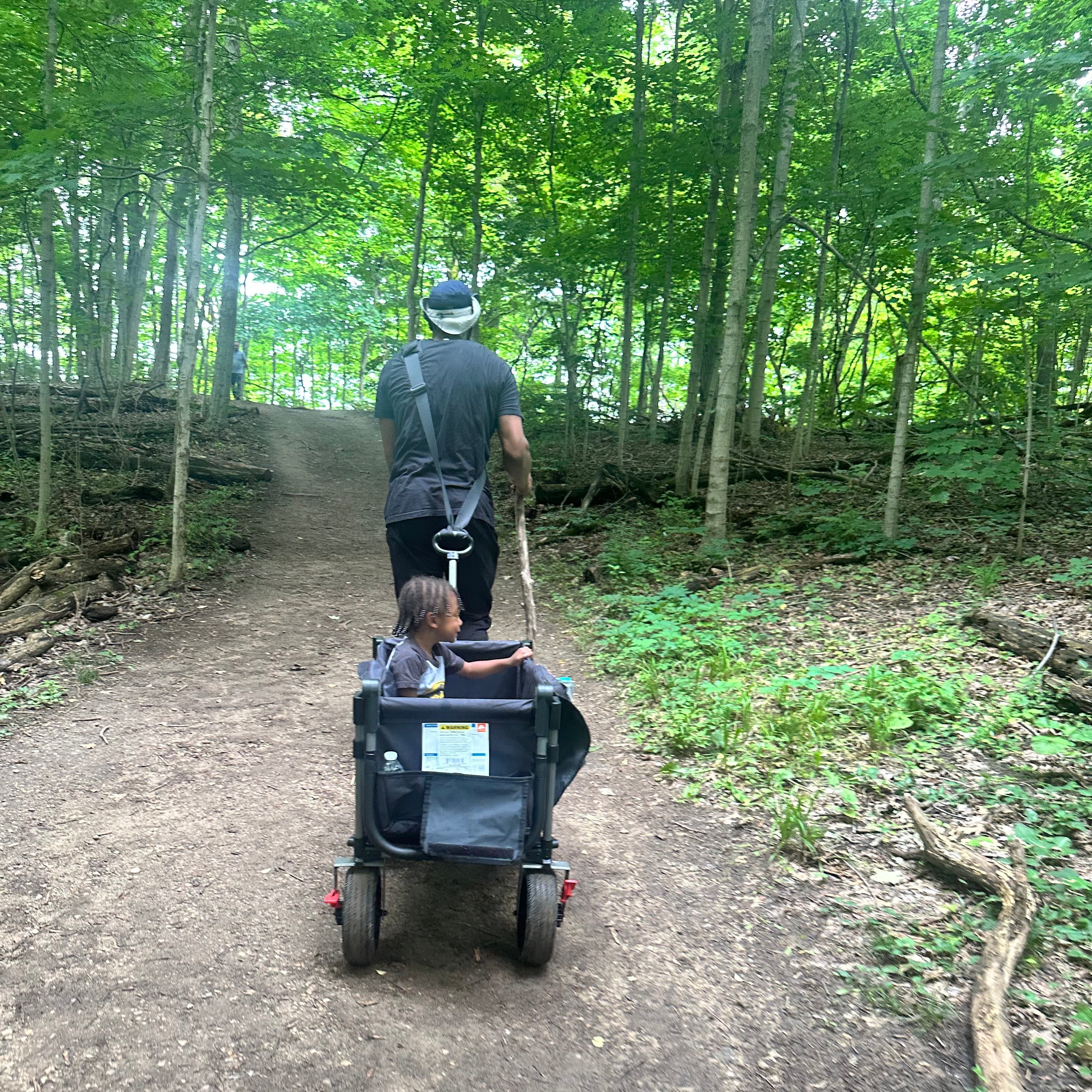 Person with a stroller in a forest setting