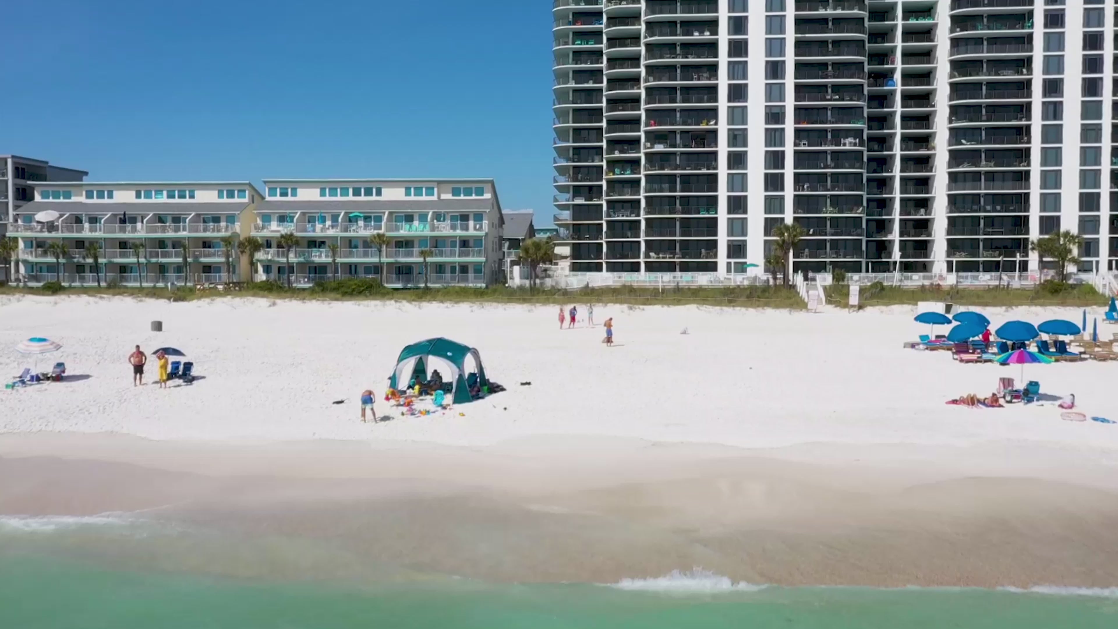 Wedge Master Family on Beach